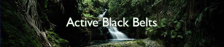Active Black Belts
