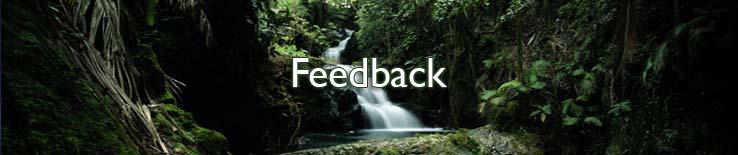 Feedback