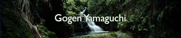 Gogen Yamaguchi