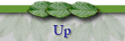 Up