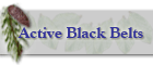 Active Black Belts