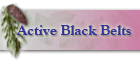 Active Black Belts