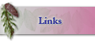 Links
